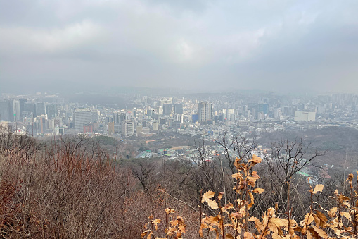 from Namsan, Seoul Korea