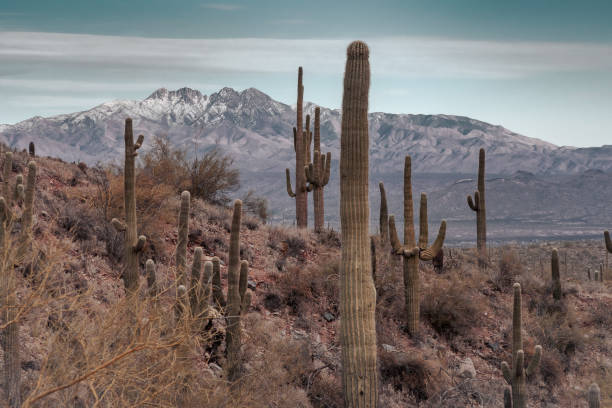istock Subdued View of my Paradise 1299708655