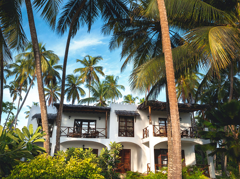 Seaside Appartments surrounded by palm trees (Zanzibar island). Property released.