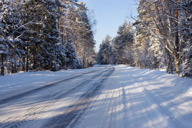 istock winter road in the forest 1299711033