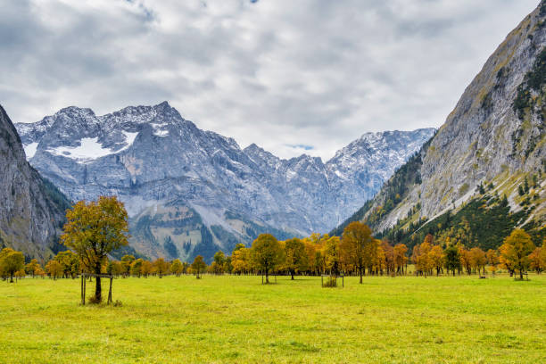istock Maple trees at Ahornboden, Karwendel mountains, Tyrol, Austria 1299718074