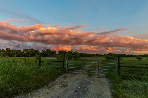 Colorful pink cumulus clouds above a metal gate blocking a dirt road leading into a green pasture on a warm summer's evening.