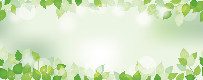 Seamless watercolor fresh green background with text space, vector illustration. Environmentally conscious image with plants and sunlight. Horizontally repeatable.