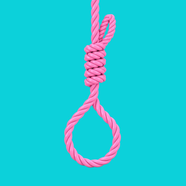 istock Pink Gallows Hanging Noose Rope Tied Knot in Duotone Style. 3d Rendering 1299724741