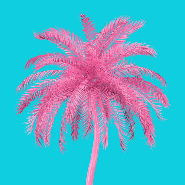 istock Pink Tropical Palm Tree in Duotone Style. 3d Rendering 1299725584