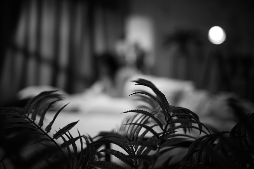 blur background of brunette woman in her bedroom in the morning. black and white