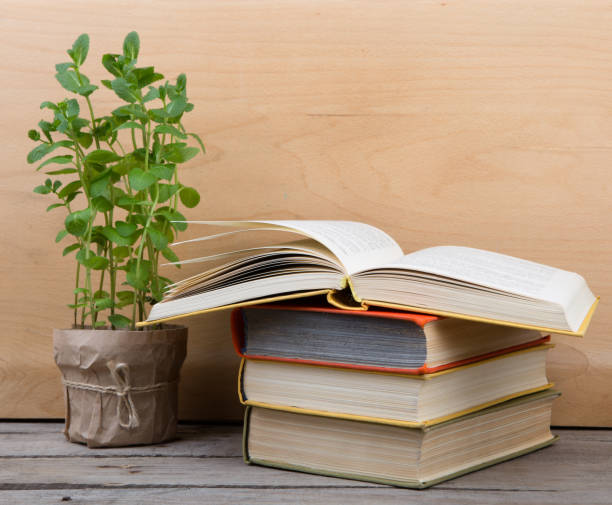 istock Education and reading concept - books and green plant 1299728996
