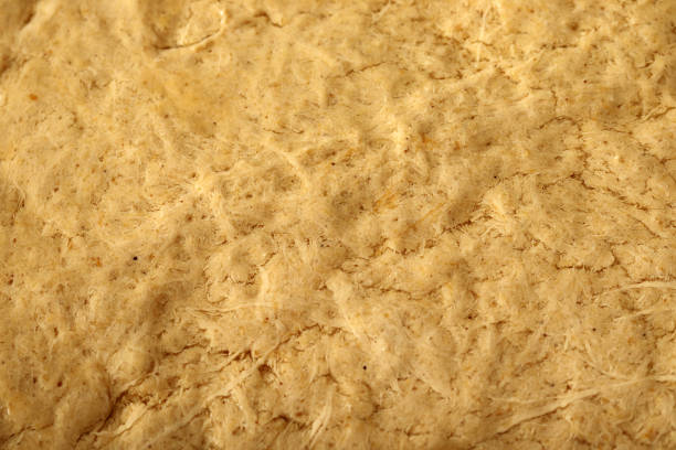 istock Traditional Turkish Halva with Tahini 1299734460