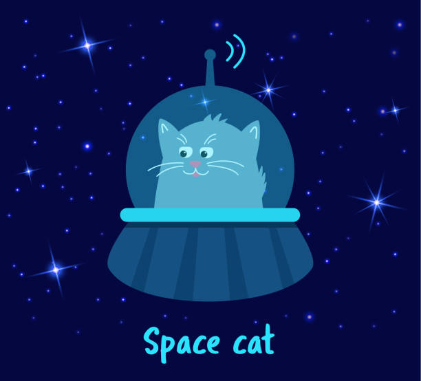 Space cat. Funny cute cat on a flying saucer in space. Space cat. Funny cute cat on a flying saucer in space. Cute cartoon character. Vector illustration in Flat style. cat muzzle meowing cartoon stock illustrations