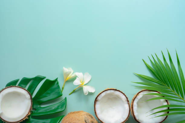 istock Tropical green palm leaf and cracked coconut on Green background. 1299740364