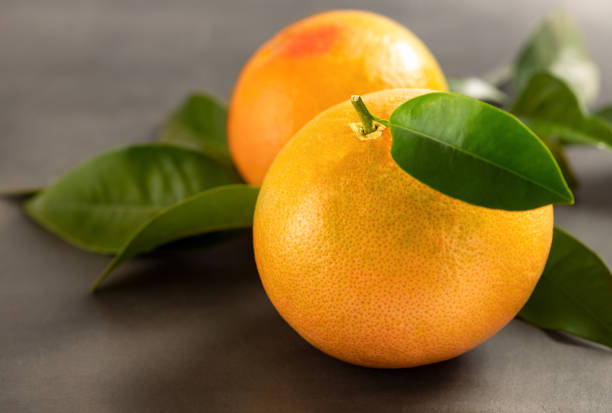 Studio shot of one grapefruit with a brown background served in a plate.
