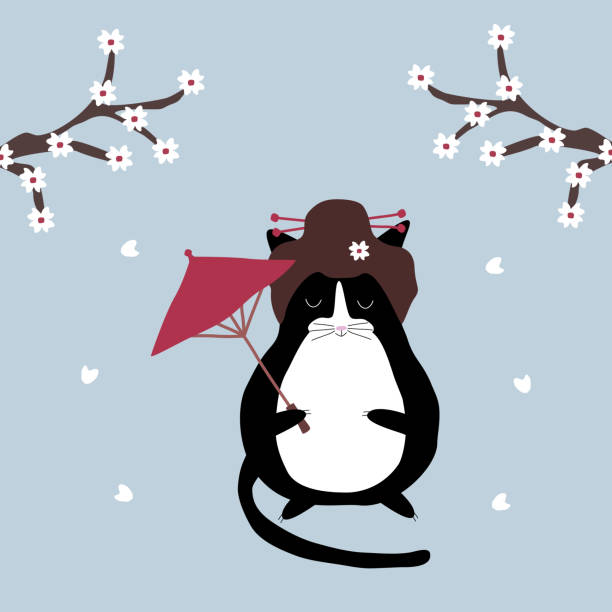 ilustrações, clipart, desenhos animados e ícones de gato gueixa preto bonito com guarda-chuva vermelho e flores de sakura ao fundo. gato kawaii. ilustração tradicional japonesa. - blossom cherry blossom tree white