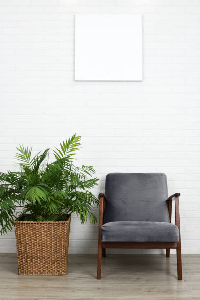 istock Comfortable armchair and beautiful houseplant 1299741686