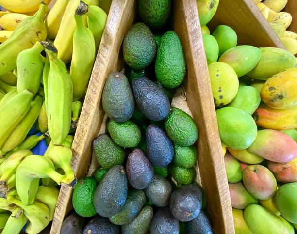 fruits biologiques au marché fermier - avocado australia crop farm photos et images de collection