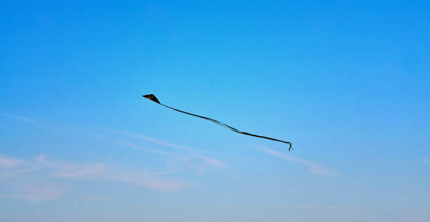 istock Black stunt kite flies in the blue sky. 1299743125