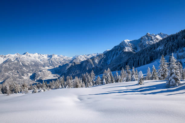 istock Snowcapped trees and powder snow in ski resort 1299743981