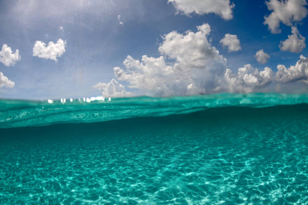istock Split shot of the caribbean sea 1299744794