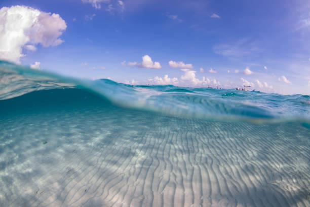 istock Split shot of the caribbean sea 1299744875