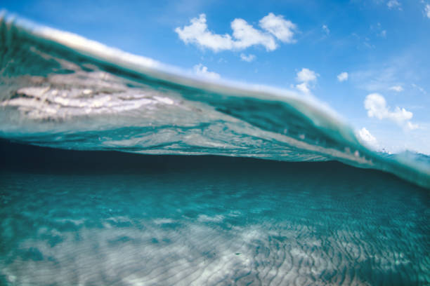 istock Split shot of the caribbean sea 1299744878