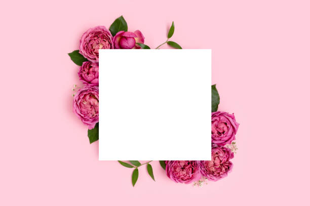 istock Square border frame made of rose flower on a pink pastel background. 1299745621