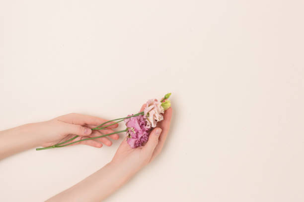 a asian girl picking and holding flowers on the meadow