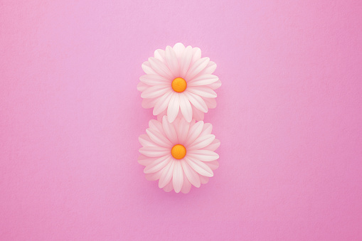 Womens Day Concept Number 8 Formed By White Daisies Over Pink Background  Stock Photo - Download Image Now - iStock