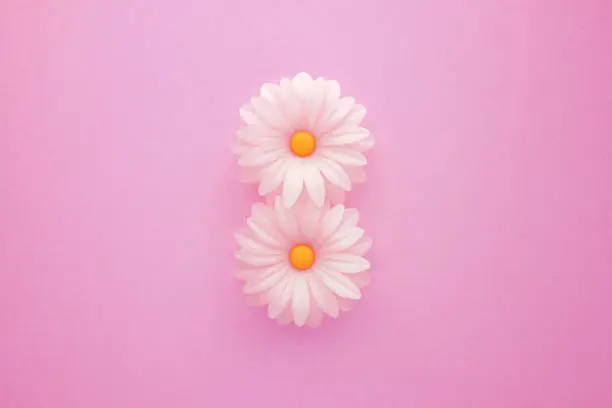 Number 8 formed by white daisies over pink background. March 8 International Women's Day concept. Horizontal composition with copy space.