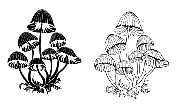 illustrazioni stock, clip art, cartoni animati e icone di tendenza di funghi allucinogeni silhouette - mushroom toadstool moss autumn