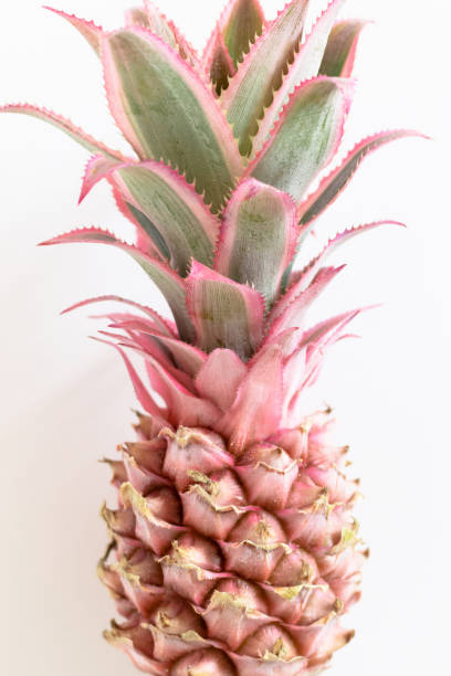 istock Closeup of decorative pink pineapple on white background 1299747528