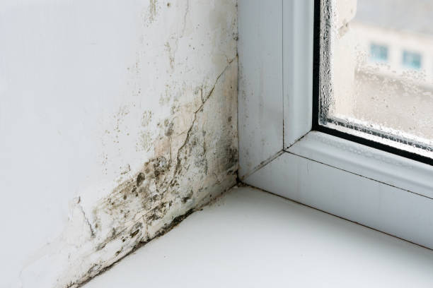 istock Mold in the corner of the plastic windows 1299749379