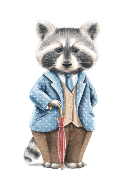 акварель винтажного мультяшного енота в костюме с зонтиком - raccoon dog stock illustrations