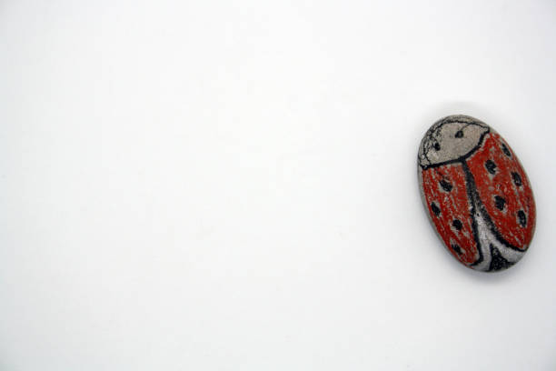 Drawing on sea stones. Classes with children. Background for text.
