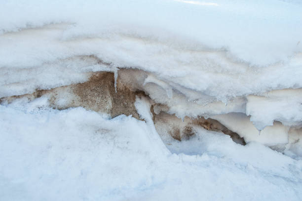 istock Melting snowdrift close-up. In  winter outdoors. 1299750770