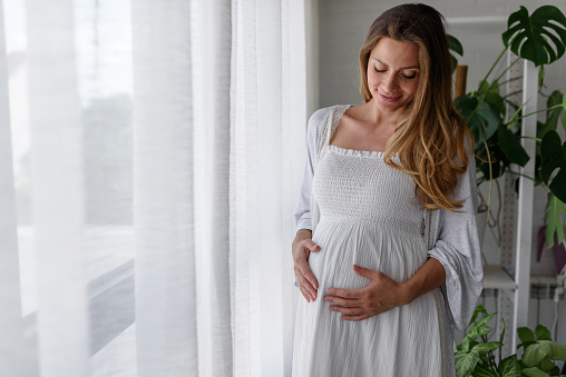 Portrait of a beautiful smiling pregnant woman looking through the window