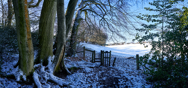 Panoramic photograph of woods in the snow at winter time in The Chilterns,England with footpath leading upto a stile