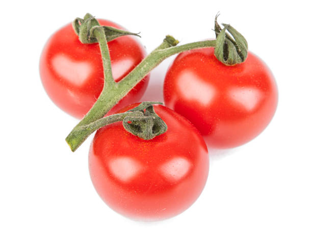 istock Fresh cherry tomatoes with a sprig isolated on a white background. View from another angle in the portfolio. 1299753593