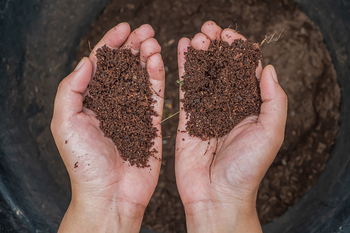 Extreme close up shot from above an unrecognizable hands holding fertile soil above the bucket