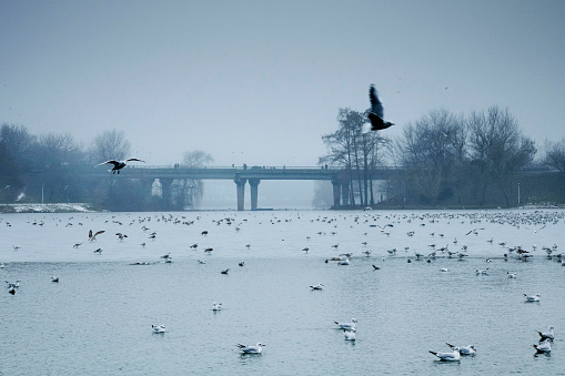 Beautiful winter day in the park , Parcul Tineretului in Bucharest