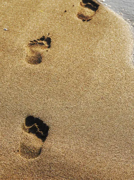 Beachwalk, footsteps on the beach