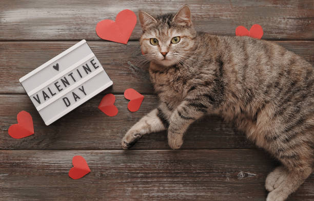 istock Cute cat with paper hearts on wooden background 1299758869