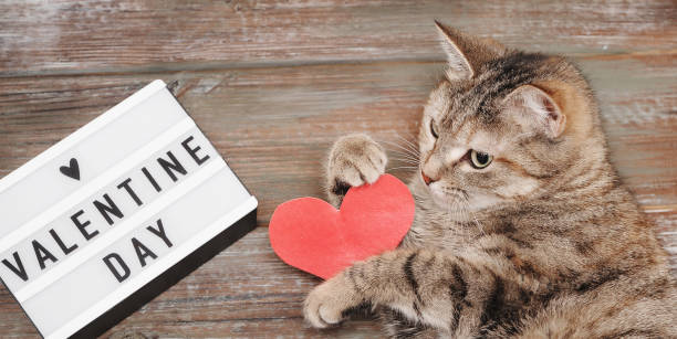 istock Cute cat with paper hearts on wooden background 1299759411
