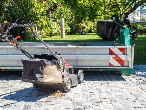 istock Lawn mower in the greenery in the park 1299759472