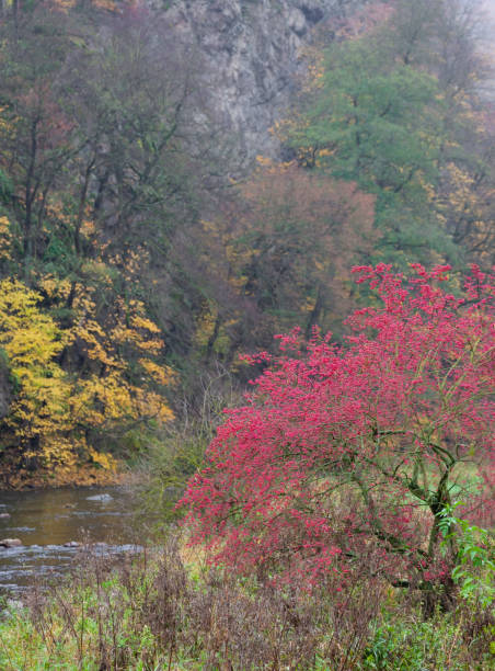istock river valley Jihlava, Templstejn, Czech Republic 1299759840