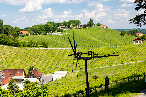 vineyard with windmill called klapotetz in south of Styria, Austria