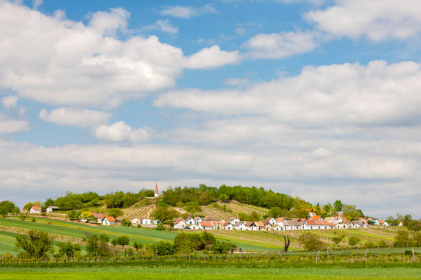 istock Wine route at Galgenberg in Weinviertel, Austria 1299760802