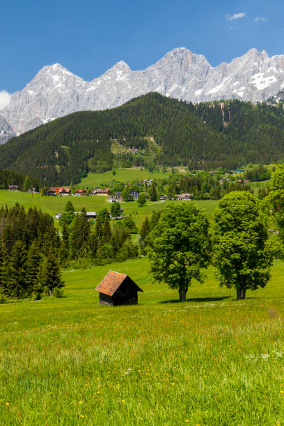 istock Dachstein and landscape near Ramsau, Austria 1299761006