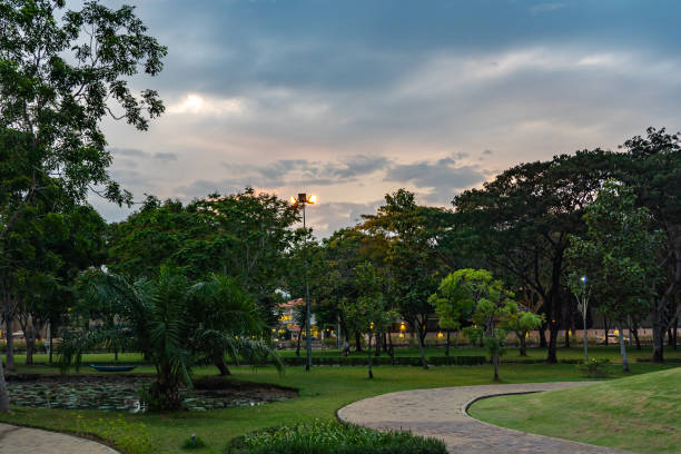 istock Beautiful evening at public park with walkway and mowed lawn 1299762822