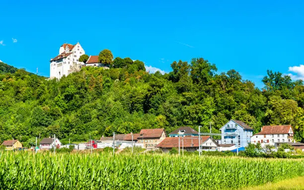 View of Wildegg Castle above a cornfield. Aargau, Switzerland