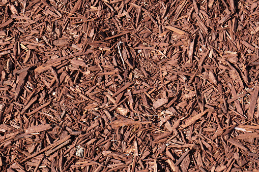 ฺBrown Wood chips on the ground - Background texture - Nature Backdrop