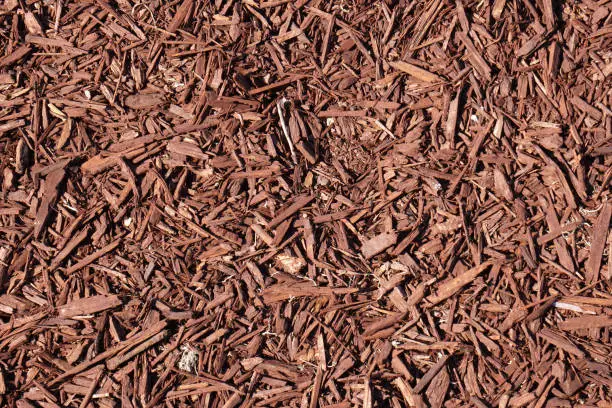 Photo of ฺBrown Wood chips on the ground - Background texture - Nature Backdrop